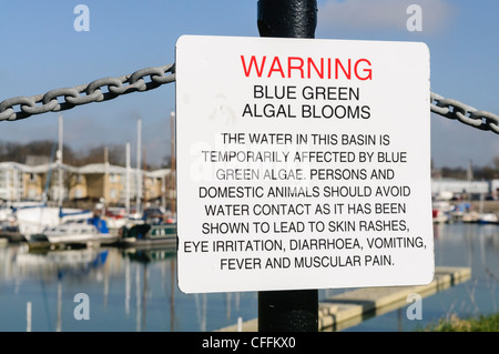 Sign at Preston Marina warning the public about the dangers of Blue-Green algae Stock Photo