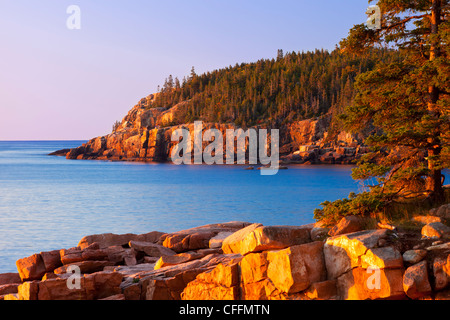 First rays of dawn along the Otter Cliffs in Acadia National Park, Maine USA Stock Photo