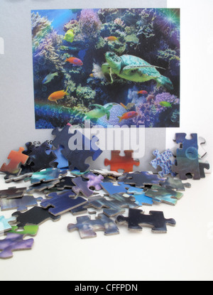 A picture and pieces of a 3D jigsaw puzzle of aquatic life - fish, turtles, terrapin, Stock Photo