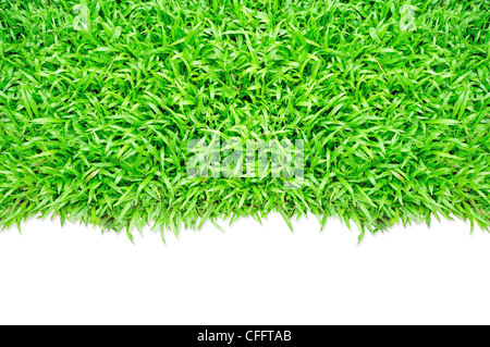 Grass frame isolated in white background Stock Photo