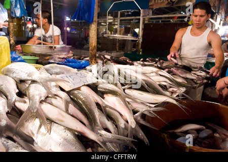 fresh milk fish sold in market of philippines Stock Photo