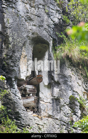 a close look of hanging coffins in Sagada, Philippines. A unique way of rituals in Asia. Stock Photo