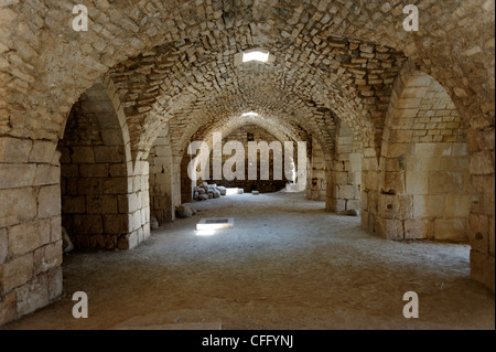 Krak des Chevaliers. Syria. View of the long vaulted chamber that was one of the many horse stables inside the crusader castle. Stock Photo