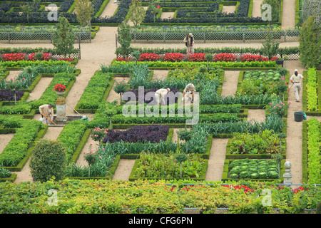 France, Gardens of the castle of Villandry, the gardeners in the kitchen garden treated like a 'jardin à la française'. Stock Photo