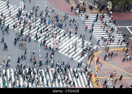 Shibuya crossing, Tokyo, Japan Stock Photo