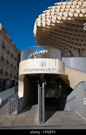 Antiquarium de Seville museum at Metropol Parasol (2011) Plaza de la Encarnacion square Seville Andalusia Spain Stock Photo