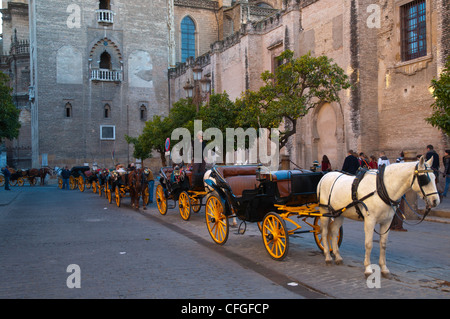 Horse drawn carriages at Plaza del Triumfo square central Seville Andalusia Spain Stock Photo