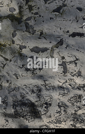 Close detail of peeling paint on corrugated iron panel. Weathered paint texture, old paint texture. Stock Photo