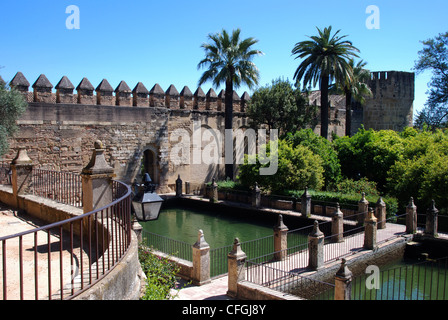 Water gardens within the Palace Fortress of the Christian Kings, Cordoba, Cordoba Province, Andalucia, Spain, Western Europe. Stock Photo