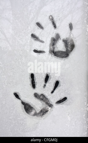 Hand Prints on an Icy Glass Pane Window Stock Photo