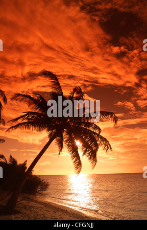 Palms om the beach at sunset, Filitheyo island, Maldives Stock Photo