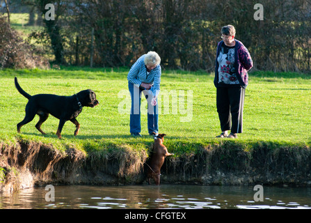 A humourous scene along the river Cam near Cambridge, Cambridgeshire Stock Photo