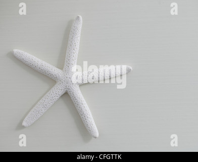 Starfish: Coastal Still Life Stock Photo