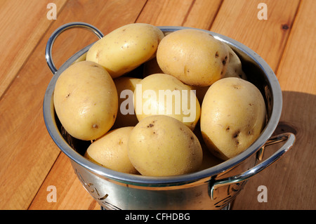 Ceasar potatoes in a stainless steel colander, Andalucia, Spain, Western Europe. Stock Photo