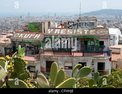 Graffiti occupation of the Resistance with orange flower cacti and Barcelona in the background. Stock Photo