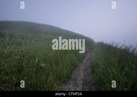 Foggy hillside at dawn Stock Photo