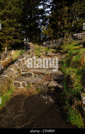 Steps on the hiking trail at Cape Perpetua Scenic Area Stock Photo