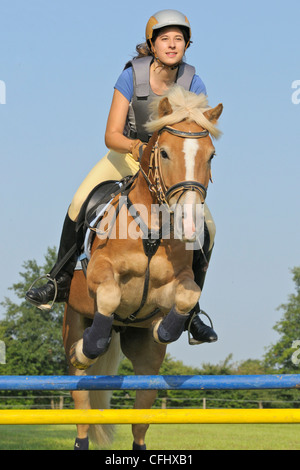 Young rider wearing a body protector jumping on back of her Haflinger horse Stock Photo