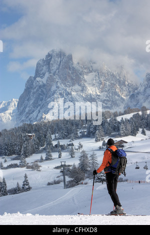 Mount Langkofel / Sassolungo, Seiser Alm / Alpe di Siusi, South Tyrol, Italy Stock Photo