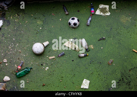 Floating rubbish and weeds collecting in Cardiff Bay Stock Photo