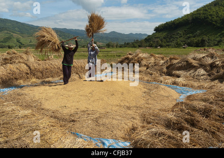 Elk208-4606 Thailand, Thaton, rice harvest, winnowing Stock Photo