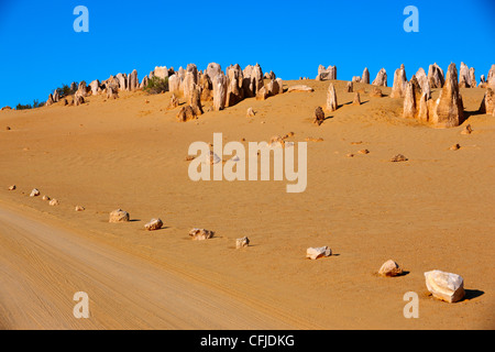 Pinnacle Desert, Nambung National Park, Western Australia Stock Photo