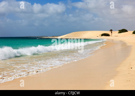 Atlantic rollers crashing along shoreline of empty white sand beach with turquoise sea on Praia de Chaves Boa Vista Cape Verde
