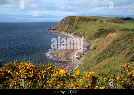 Crovie, Aberdeenshire, Scotland, United Kingdom, Europe Stock Photo