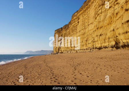 Beach and cliffs, Burton Bradstock, Jurassic Coast, UNESCO World Heritage Site, Dorset, England, United Kingdom, Europe Stock Photo