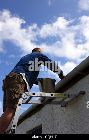 Man cleaning gutters on ladder Stock Photo - Alamy