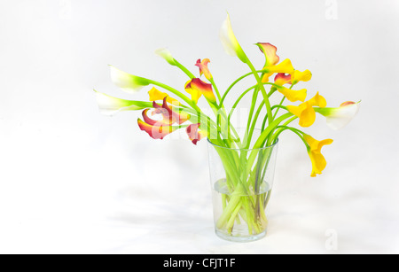 callas on a glass jar Stock Photo