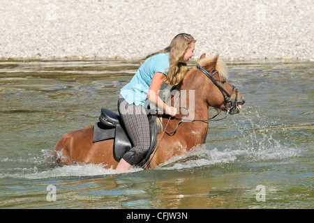 Young rider on Icelandic horse in river Isar south of Munich, Bavaria, Germany Stock Photo