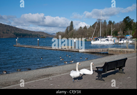 Bowness on Windermere, Lake District, Cumbria, England, UK Stock Photo