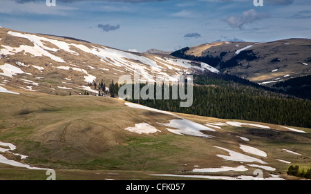 mountain plateau Lago-Naki in Adygea, Russia. Stock Photo