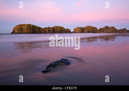 Bandon Beach arch and sea stacks at sunrise along the Oregon coast. USA Stock Photo