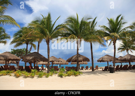 Beach, Chankanaab National Park, Cozumel Island, Isla de Cozumel, Quintana Roo, Mexico, Caribbean Stock Photo