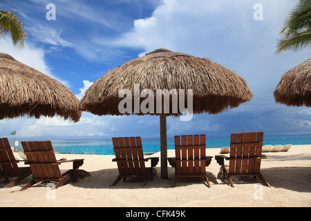 Beach, Chankanaab National Park, Cozumel Island, Isla de Cozumel, Quintana Roo, Mexico, Caribbean  Stock Photo