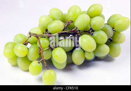 Green grapes Stock Photo
