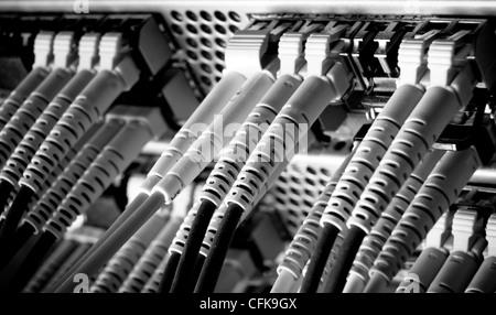 optic fiber cables connected to hub Stock Photo