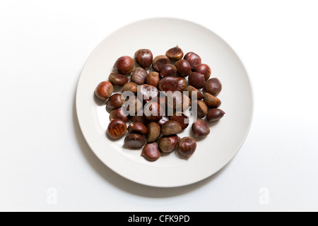 Fresh chestnut on a white background Stock Photo