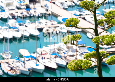 Yacht harbor in Sidi Bou Said, Tunisia Stock Photo