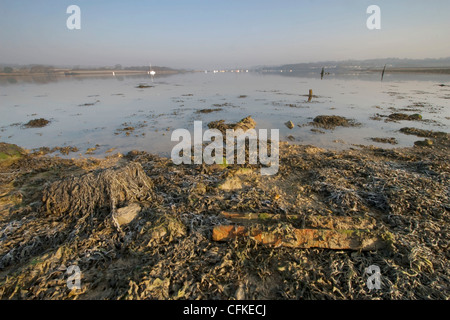 Early morning at half-tide in the River Medina, Isle of Wight, looking North towards East Cowes Stock Photo