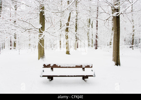 Bench in winter woodland with snow Brentwood Essex, UK LA005569 Stock Photo