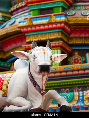 Sacred Hindu Cow Statue Stock Photo