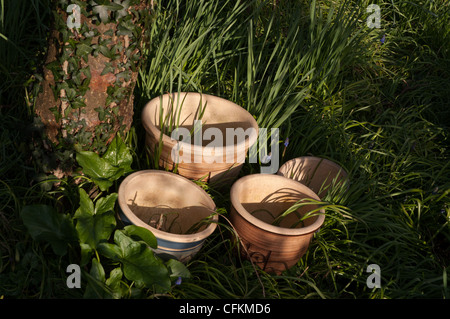 earthenware plant-pots under tree in garden Stock Photo
