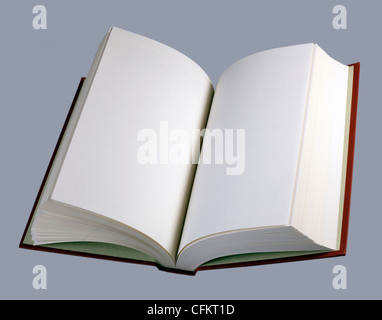 Book, open, with plain pages Stock Photo