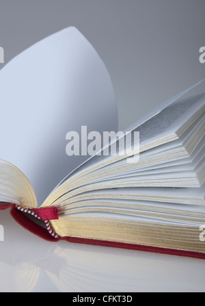 Book, open with plain page Stock Photo