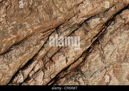 seamless warm colored granite stone texture Stock Photo