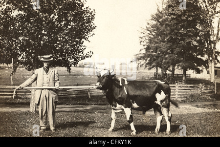 Gentleman Farmer Leading a Bull by the Nose Stock Photo