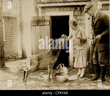 Couple with Dog Feeding Tame Deer Stock Photo